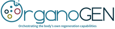 OrganoGEN Biotech logo