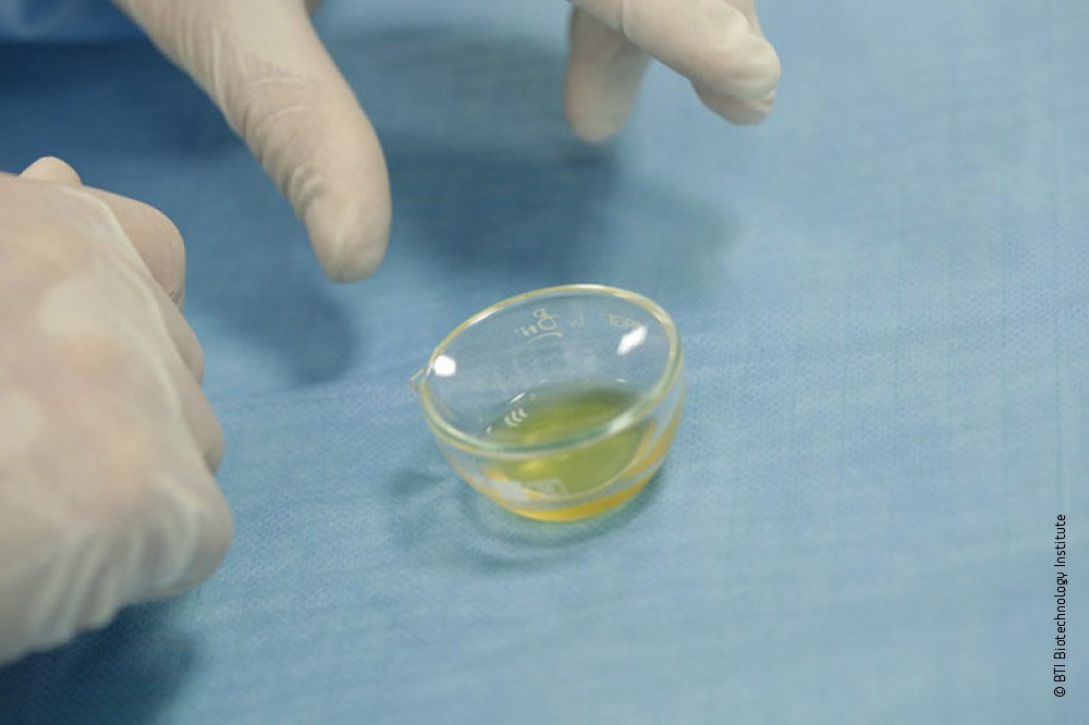 Endoret PRGF liquid formulation in a dish