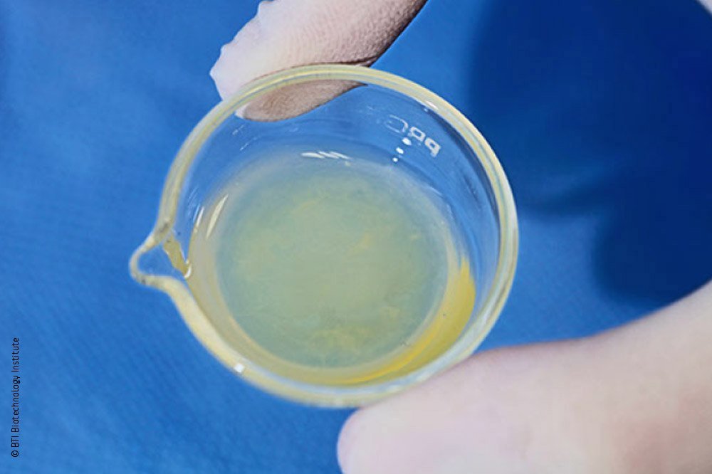 Endoret PRGF liquid formulation, overhead view